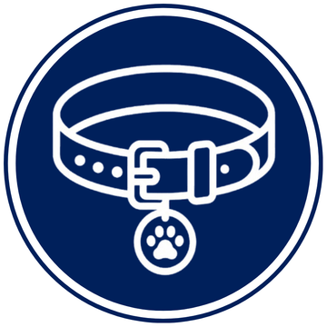 Premium dog and cat collars designed for comfort, safety, durability, and everyday wear