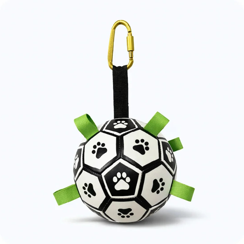 Interactive Dog Football Toy for fetch and outdoor play