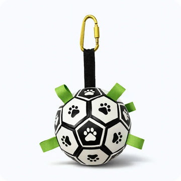 Interactive Dog Football Toy for fetch and outdoor play