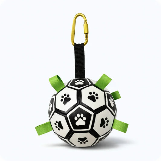 Interactive Dog Football Toy for fetch and outdoor play