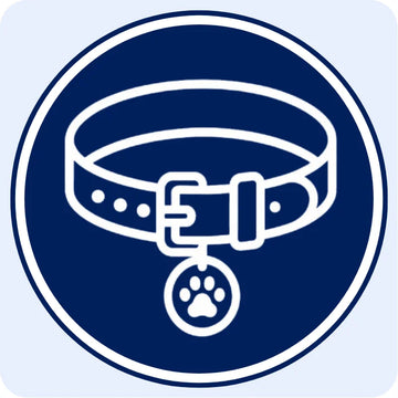 Premium dog and cat collars for everyday comfort and style